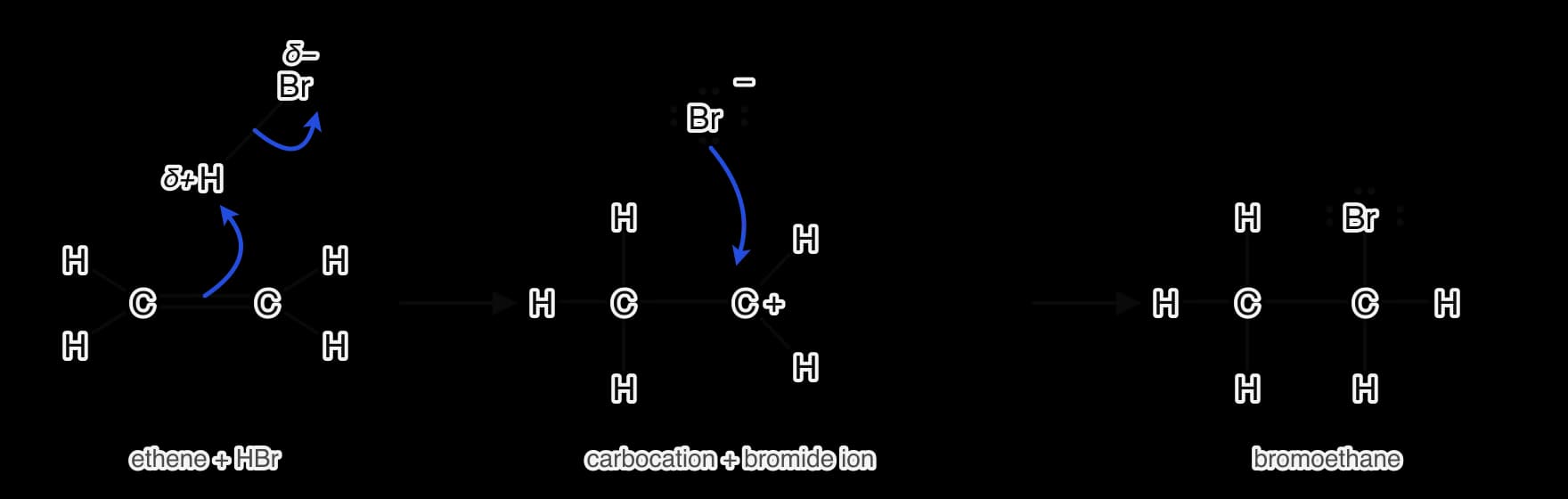 Electrophilic addition of HBr to ethene. Blue curly arrows: from the C=C double bond to the δ+ H of HBr, and from the H–Br bond to the δ− Br. Intermediate: a carbocation CH3–CH2+ and a bromide ion with four lone pairs; a third arrow goes from a Br− lone pair to C+. Product: bromoethane.