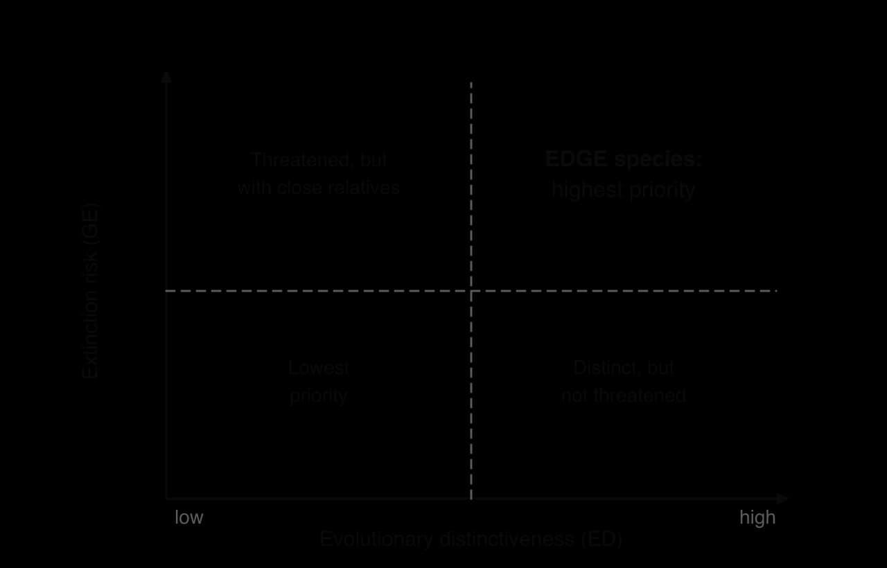Grid of evolutionary distinctiveness (ED, x-axis) against extinction risk (GE, y-axis) in four quarters. High ED and high GE is shaded: EDGE species, highest priority. Others: threatened but with close relatives; distinct but not threatened; lowest priority.