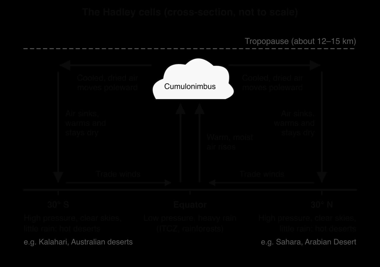 Cross-section of the two Hadley cells. Warm moist air rises at the Equator (low pressure, cumulonimbus, heavy rain), cooled dried air moves poleward near the tropopause, sinks and warms near 30° N and S (high pressure, clear skies, hot deserts), and returns as trade winds.