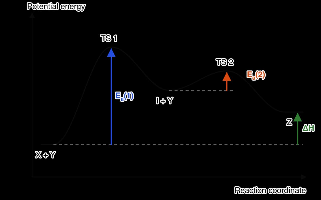 Energy profile with two humps for an endothermic reaction. The first hump (TS 1) is the highest point. A trough labelled I + Y (intermediate) lies between the humps, then a smaller hump (TS 2), then products Z above the reactant level. Ea(1) is large, Ea(2) small, ΔH positive.