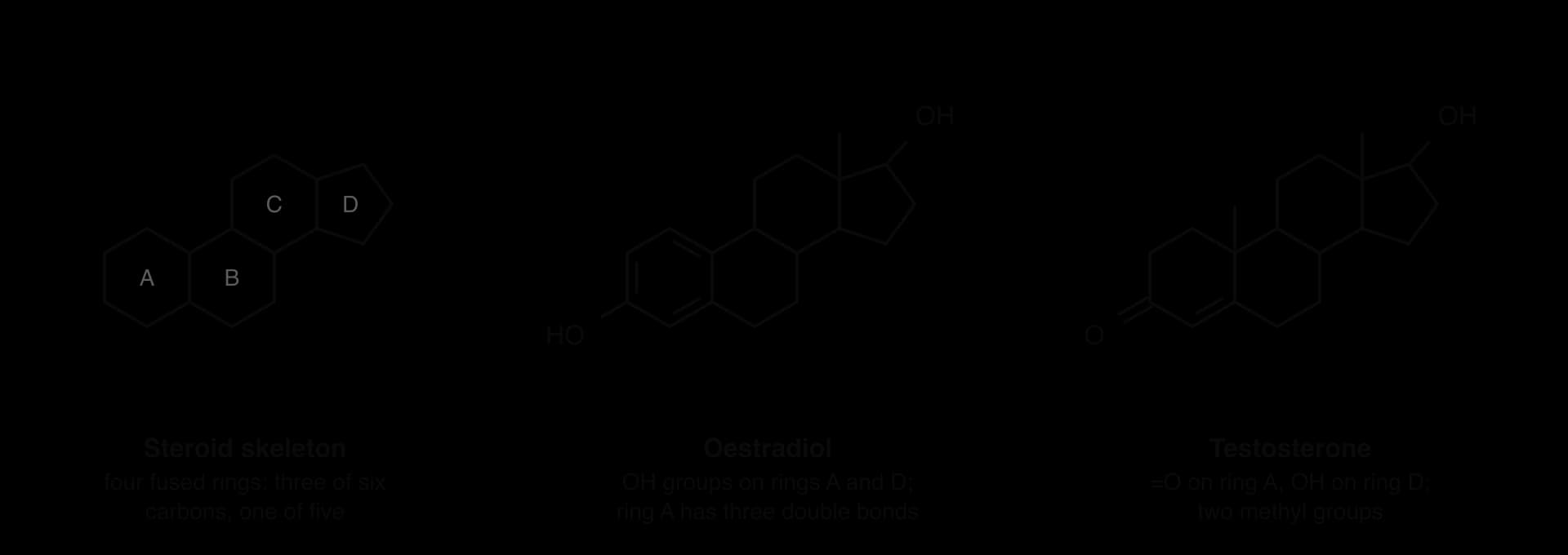 Three skeletal formulas. Steroid skeleton: six-carbon rings A, B and C and five-carbon ring D, fused. Oestradiol: HO on ring A, OH on ring D, three double bonds in ring A, one methyl. Testosterone: =O on ring A, one double bond in ring A, OH on ring D, two methyls.
