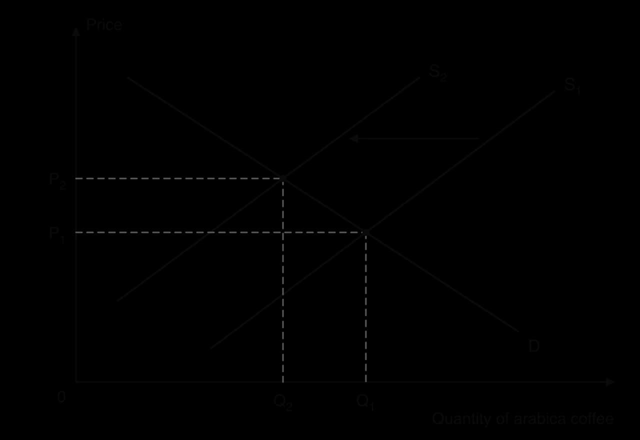 Market for arabica coffee: downward-sloping D and supply shifting left from S1 to S2. Equilibrium price rises from P1 to P2 and quantity falls from Q1 to Q2.