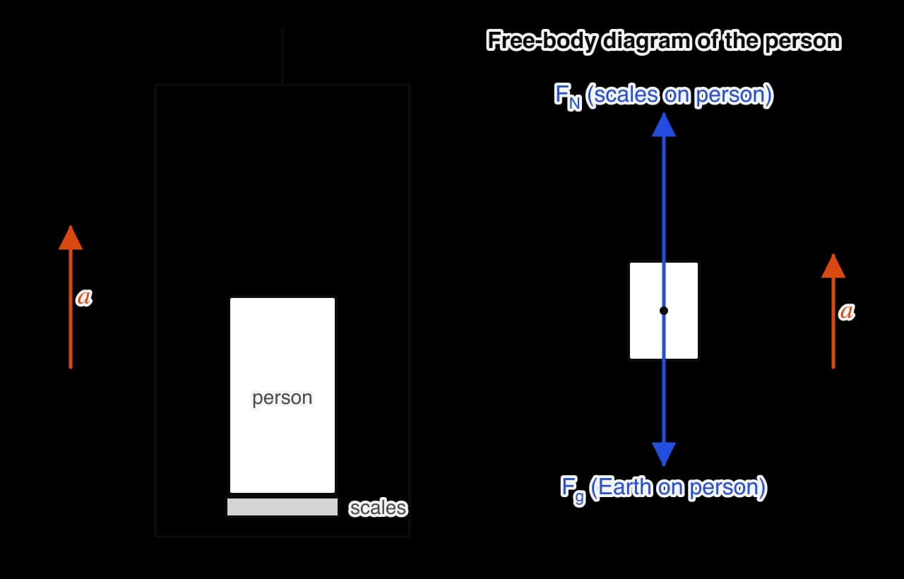 A person standing on scales in a lift whose acceleration a (orange) is upwards. Beside it, the free-body diagram of the person: the normal force of the scales upwards is longer than the weight downwards.
