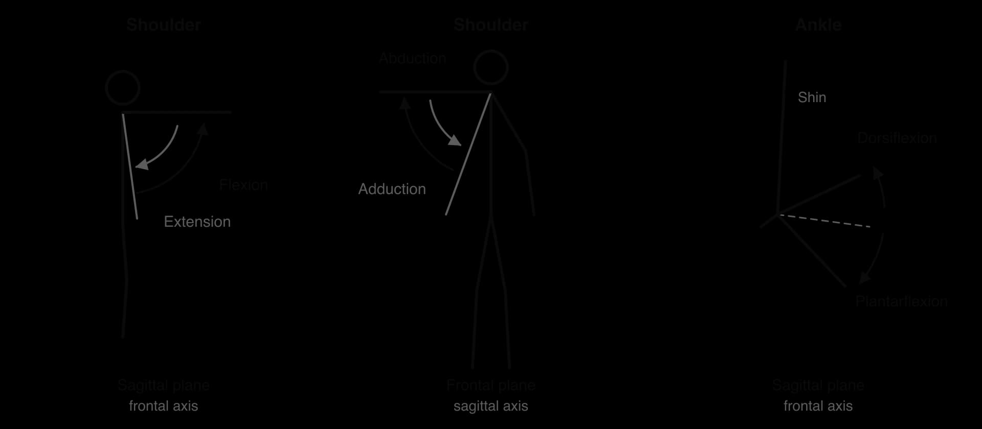 Three panels. Shoulder in lateral view: arm raised forward is flexion, lowering is extension (sagittal plane, frontal axis). Shoulder in anterior view: arm raised sideways is abduction, lowering is adduction (frontal plane, sagittal axis). Ankle: toes up is dorsiflexion, toes down plantarflexion.