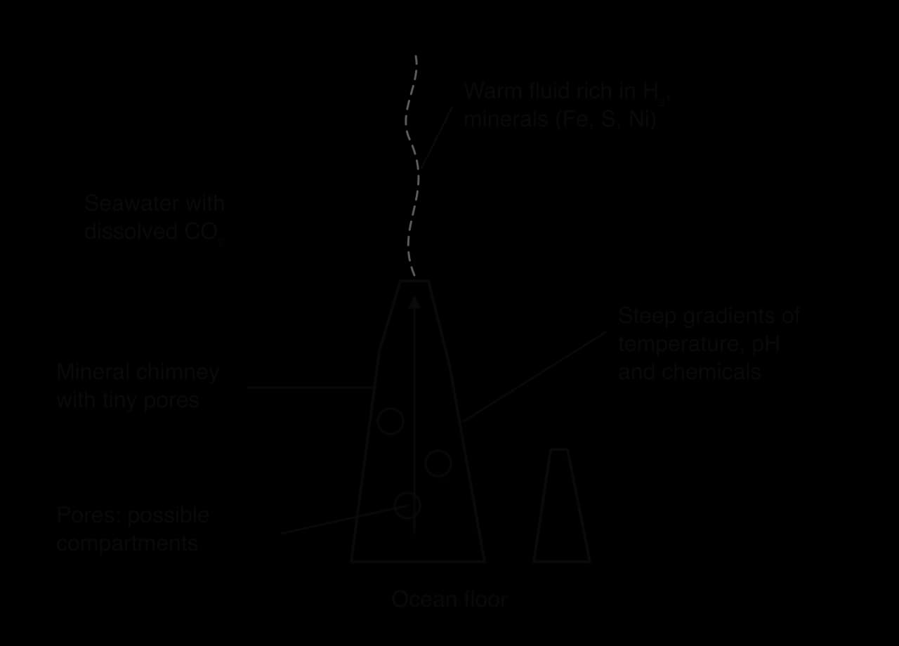 A hydrothermal vent chimney on the ocean floor. Warm fluid rich in H₂ and minerals (Fe, S, Ni) rises through it into seawater with dissolved CO₂. The chimney has tiny pores, labelled possible compartments, and steep gradients of temperature, pH and chemicals.