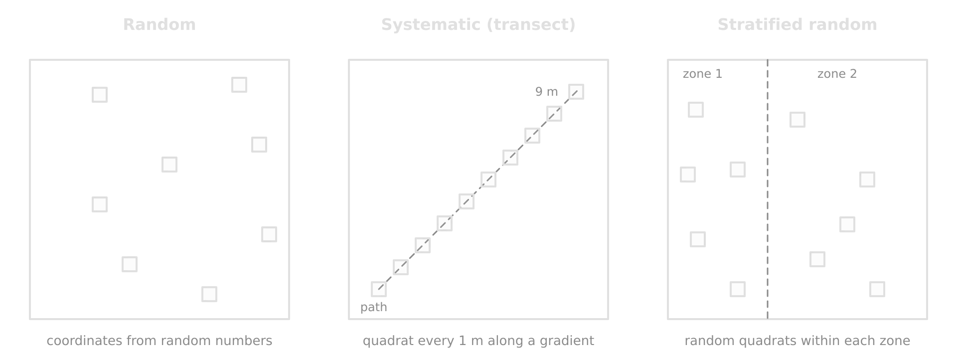 Three sampling designs: random quadrats at random coordinates; a systematic transect with a quadrat every 1 m from a path to 9 m; and stratified random sampling with random quadrats inside each of two zones.