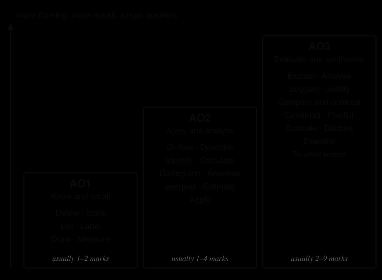 Command terms as three rising steps. AO1, know and recall: define, state, list, label, draw, measure (1–2 marks). AO2: outline, describe, identify, calculate, distinguish, annotate, interpret, estimate, apply (1–4). AO3: explain, evaluate, discuss, to what extent and more (2–9).