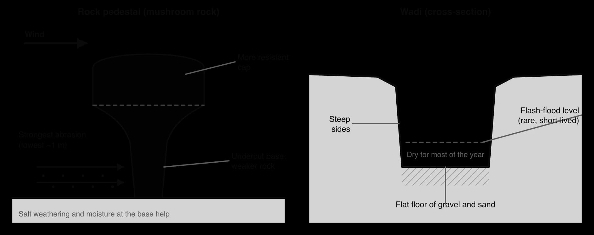 Left: a rock pedestal whose weaker base is undercut by wind abrasion, strongest in the lowest metre where saltating sand is concentrated, leaving a wider resistant cap. Right: a wadi cross-section with steep sides, a flat floor of gravel and sand, dry most of the year, and a flash-flood level.