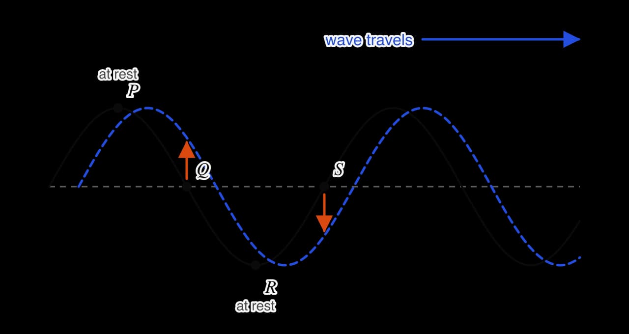 A transverse wave travelling to the right (solid black curve) and the same wave a moment later, shifted slightly right (dashed blue). Points P (a crest) and R (a trough) are labelled at rest.