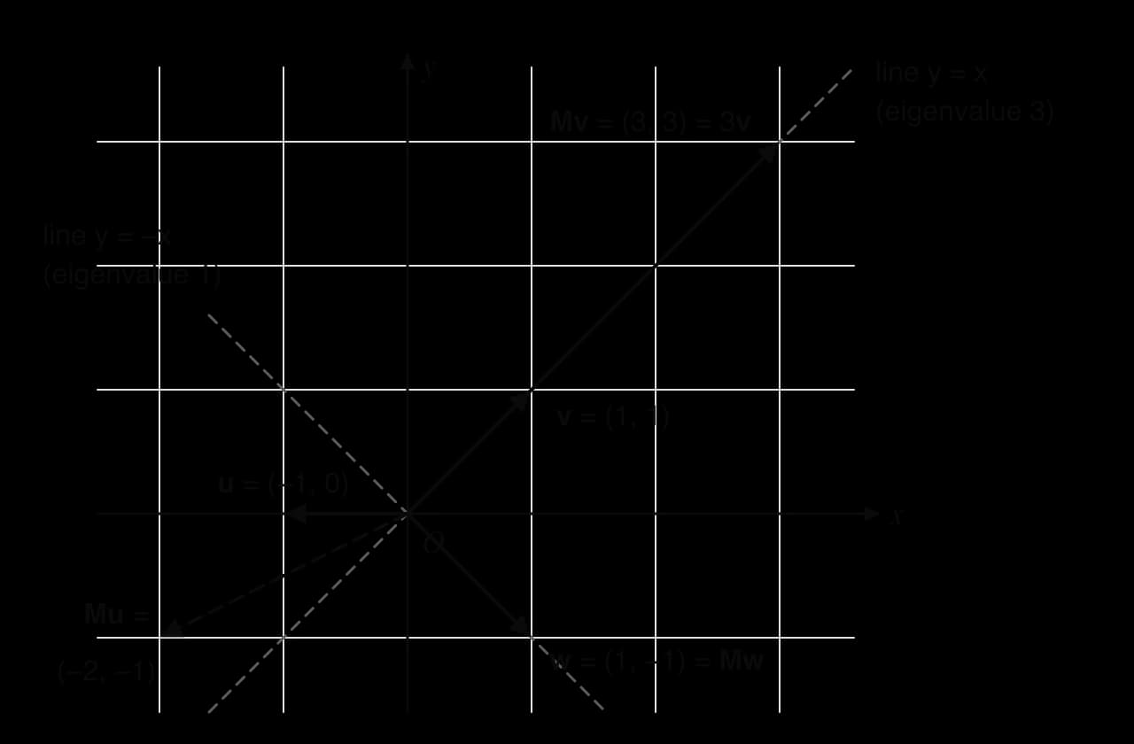 Vectors under M = (2 1; 1 2). v = (1, 1) maps to Mv = (3, 3) = 3v on the line y = x (eigenvalue 3). w = (1, −1) maps to itself on y = −x (eigenvalue 1). u = (−1, 0) maps to Mu = (−2, −1), off its own line.