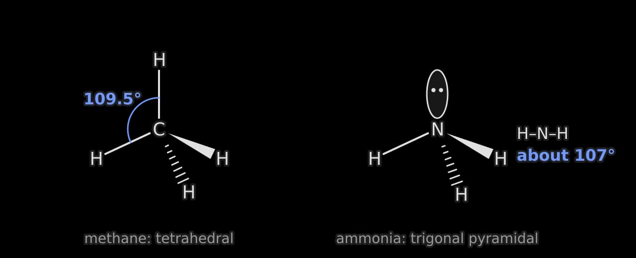 Three-dimensional drawings. Methane: tetrahedral, two bonds in the plane, one wedge and one hashed bond, angle 109.5°. Ammonia: trigonal pyramidal with a lone-pair lobe on nitrogen, one wedge and one hashed bond, H–N–H about 107°.