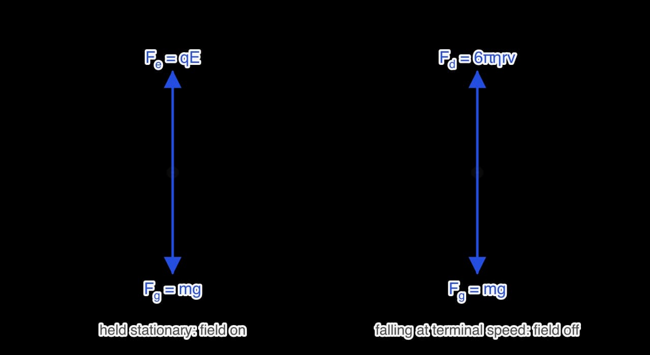Two free-body diagrams of an oil drop. Left, held stationary with the field on: an upward electric force qE equal in length to the downward weight mg. Right, falling at terminal speed with the field off: an upward viscous drag 6πηrv equal in length to the downward weight mg.