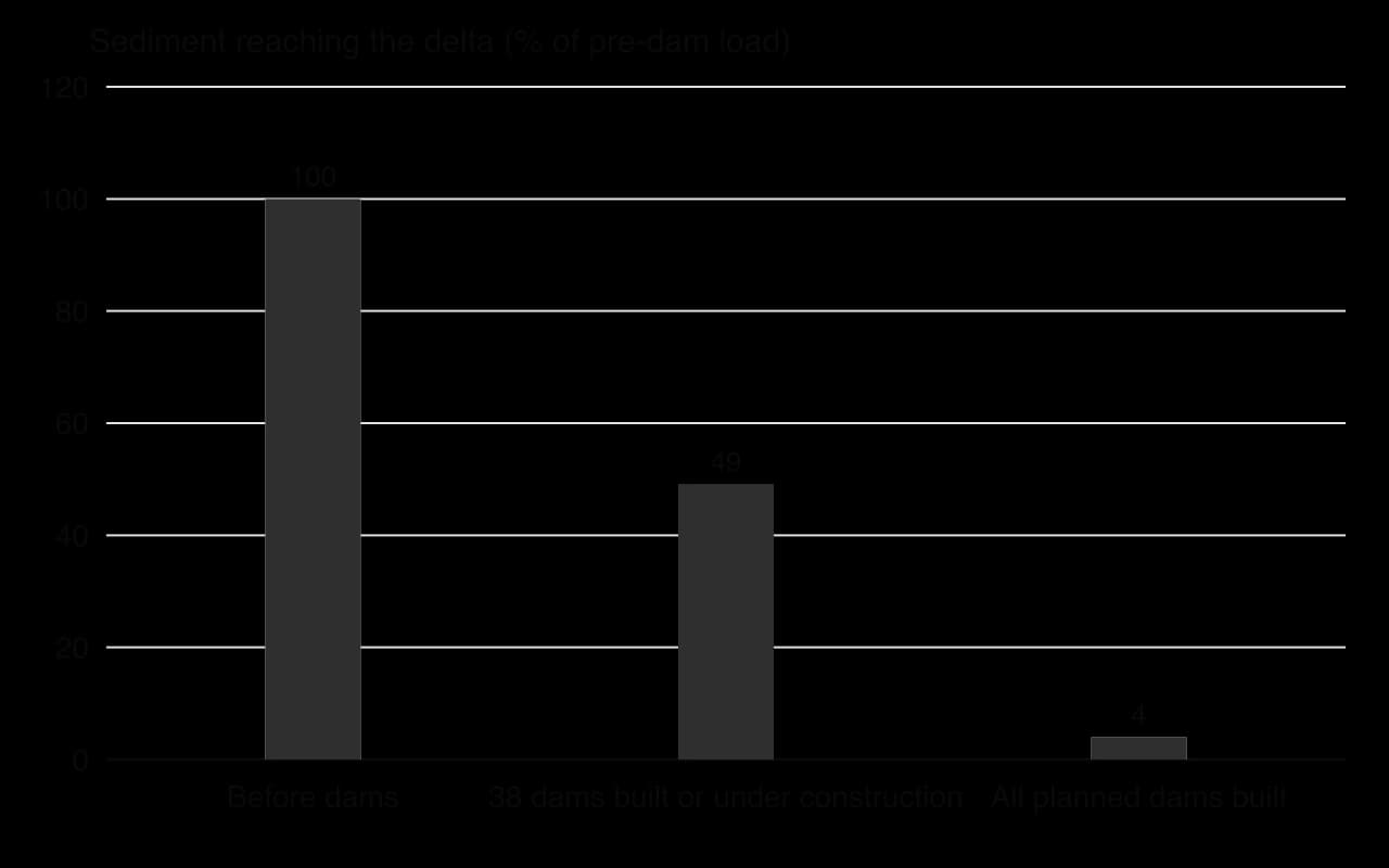 Column chart of modelled sediment reaching the Mekong delta as a percentage of the pre-dam load: 100% before dams, 49% with 38 dams built or under construction, 4% if all planned dams are built.