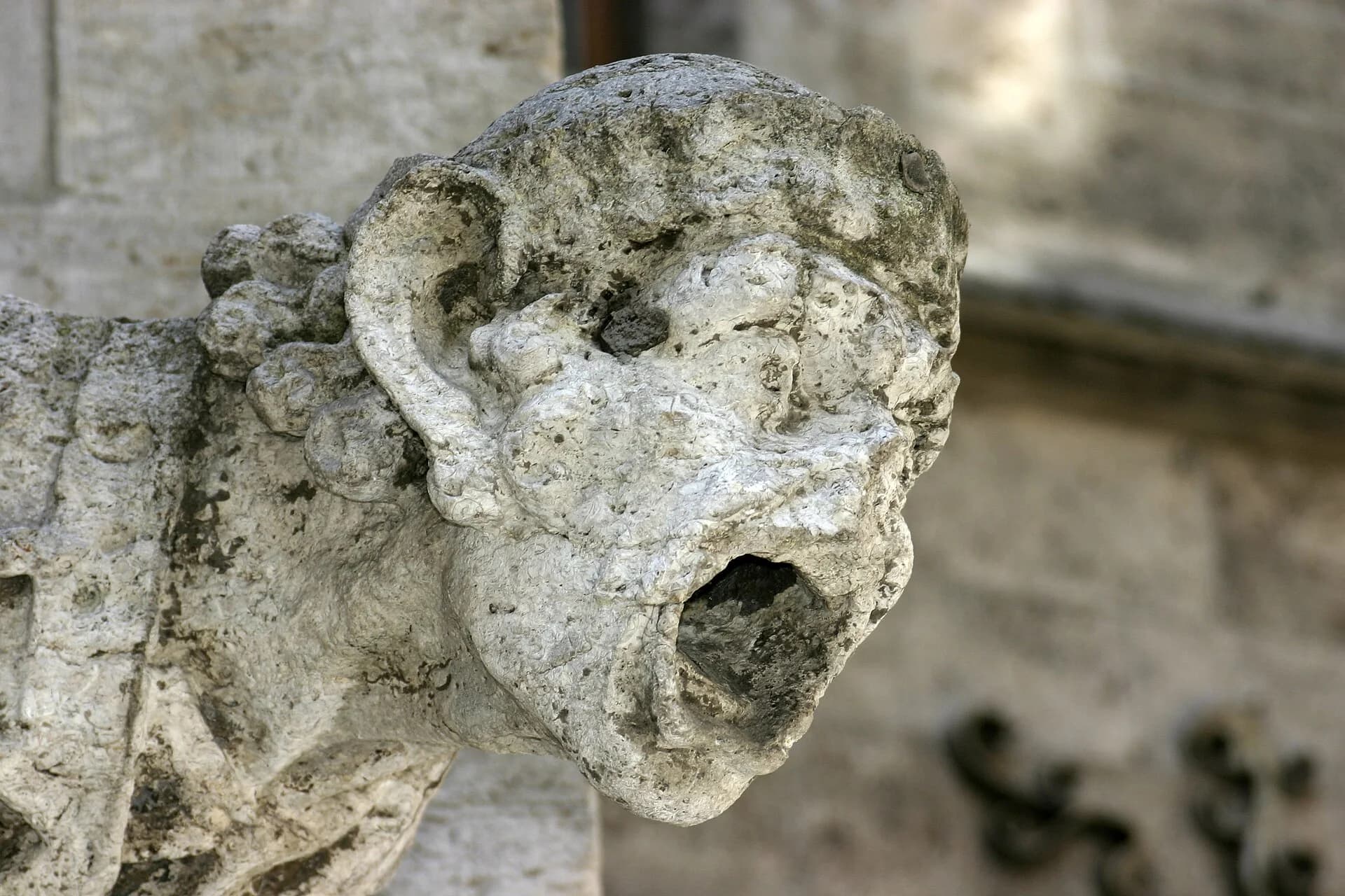 A limestone gargoyle whose carved face has been pitted, rounded and partly dissolved by acid deposition, so that its features are blurred and rough.