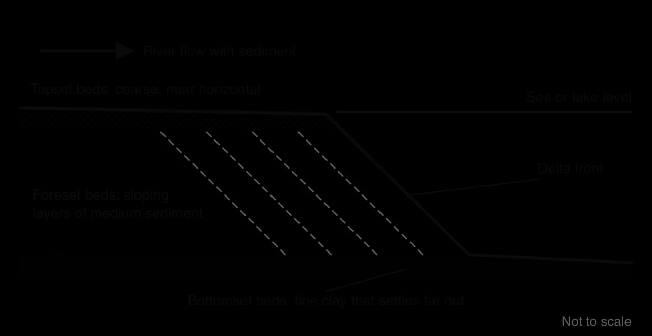 Cross-section of a delta: near-horizontal coarse topset beds at sea level, sloping foreset beds of medium sediment building out at the delta front, and fine clay bottomset beds on the sea floor beyond.