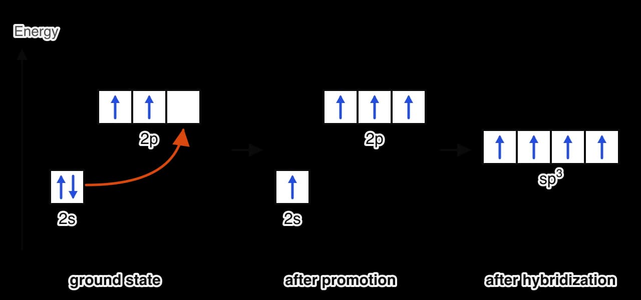 Orbital box diagrams for carbon on an energy axis. Ground state: 2s with two electrons, 2p with two unpaired electrons and one empty box; an orange arrow moves one 2s electron to the empty 2p box. After promotion: 2s one electron, 2p three.