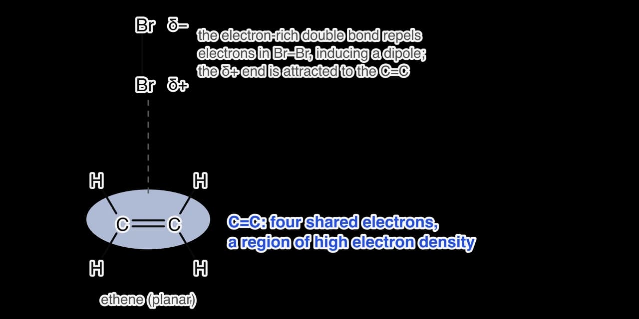 Displayed formula of ethene with a shaded blue region around the C=C double bond labelled as a region of high electron density (four shared electrons). A bromine molecule approaches from above; its lower atom, nearer the double bond, is labelled δ+ and its upper atom δ−.