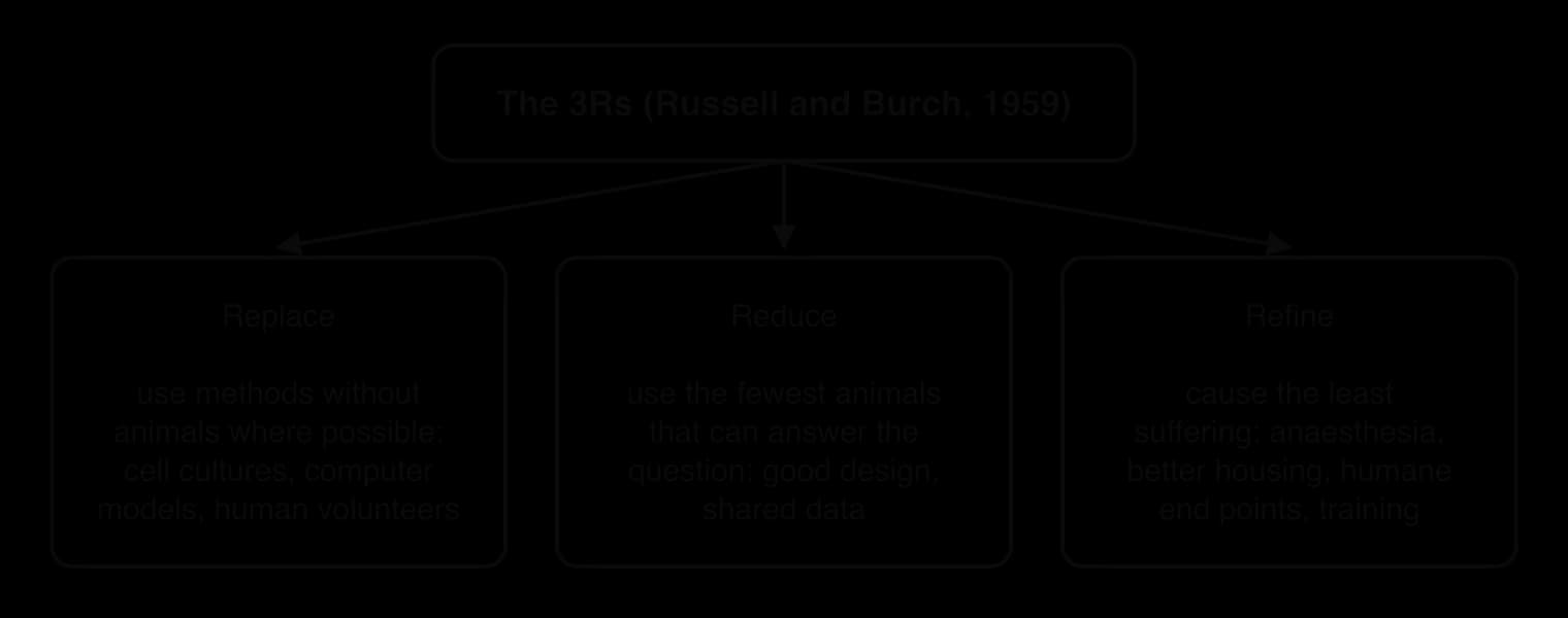 Diagram of the 3Rs of Russell and Burch (1959): replace animals with non-animal methods where possible, reduce the number of animals used, refine procedures to cause the least suffering.
