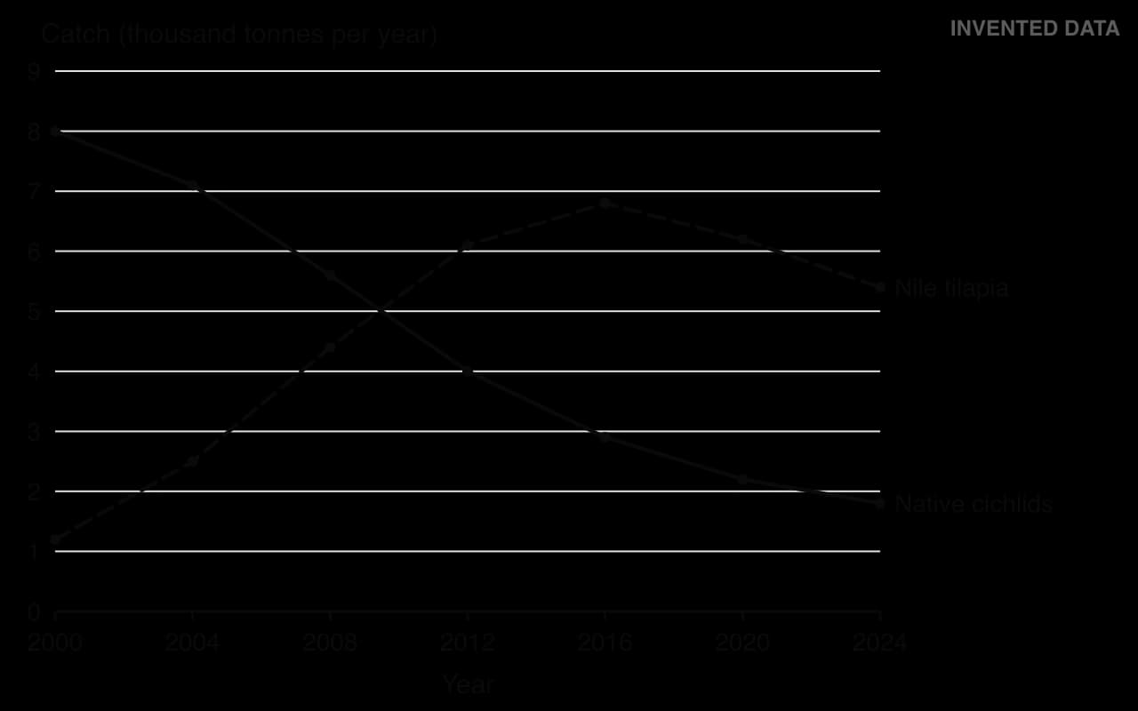 Line graph of invented catches, 2000–2024, thousand tonnes per year. Native cichlids fall steadily from 8.0 to 1.8. Nile tilapia rise from 1.2 to a peak of 6.8 in 2016, then fall to 5.4 in 2024.