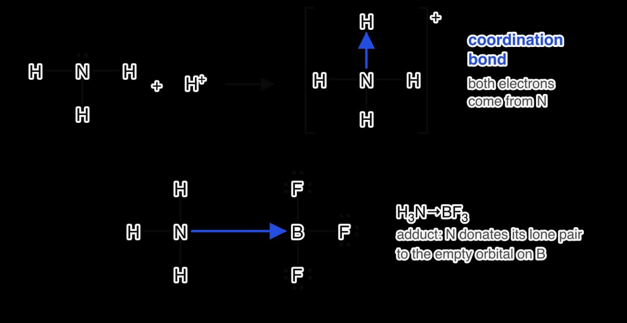 Top: ammonia, with a lone pair on N, plus a hydrogen ion gives the ammonium ion in square brackets with a + charge; the new N–H bond is drawn as a blue arrow from N to H. Bottom: the adduct H3N→BF3 with a blue arrow from N to B.