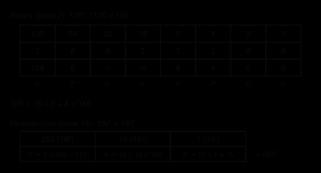 Place-value tables. Binary: columns 128, 64, 32, 16, 8, 4, 2, 1 (2⁷ to 2⁰) hold 10011100, giving 128 + 16 + 8 + 4 = 156. Hexadecimal: columns 256, 16, 1 hold 2, A, F, giving 512 + 160 + 15 = 687.