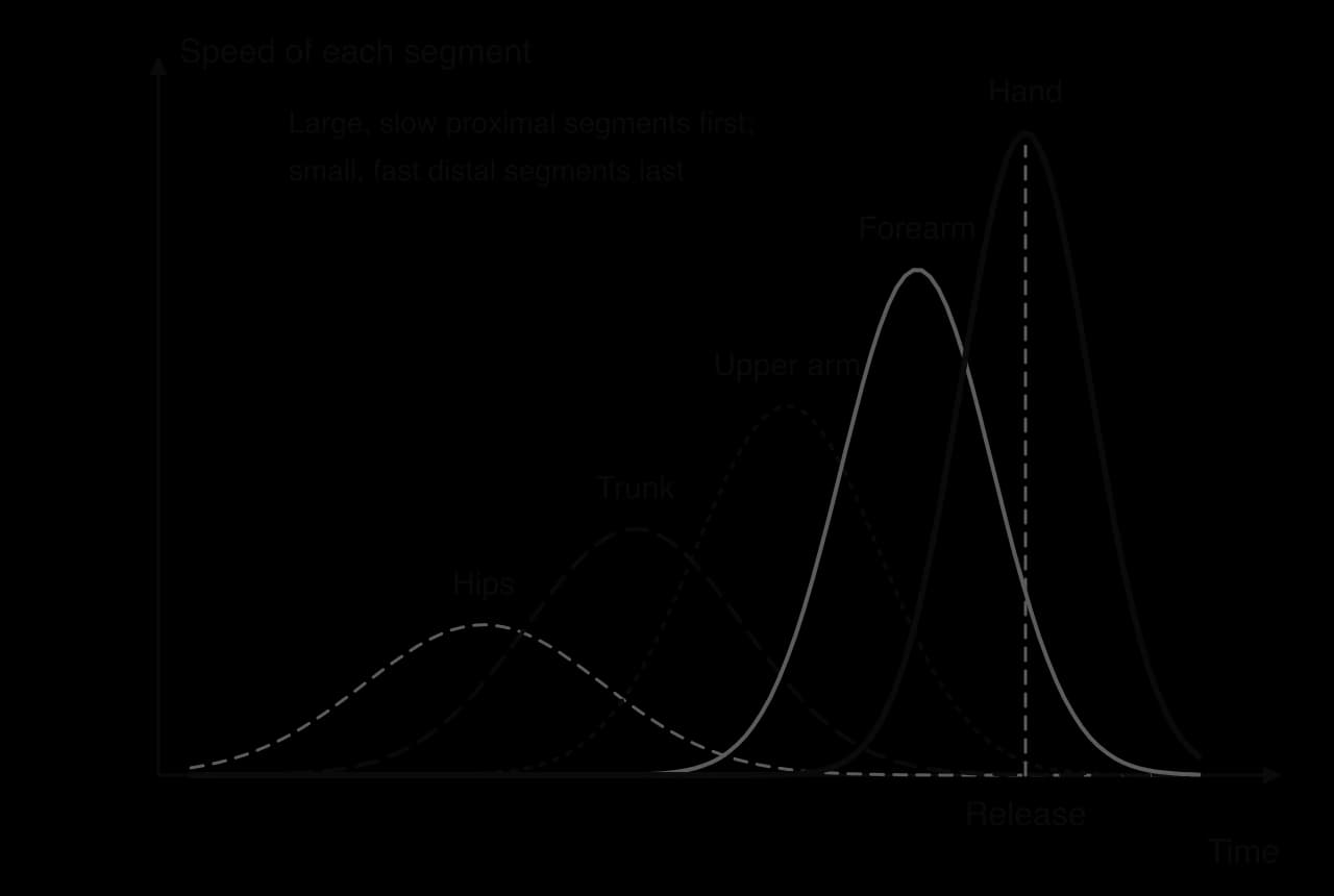 Sketch of segment speed against time in a throw: hips, trunk, upper arm, forearm and hand speeds each peak one after another, each peak higher than the last, with the hand peaking at release.