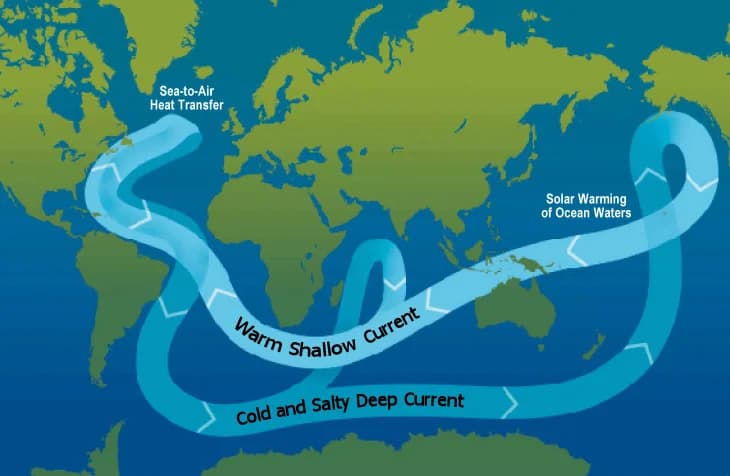 World map of the ocean conveyor belt: warm shallow currents flow to the North Atlantic, where heat passes to the air; cold, salty deep currents flow south, round Antarctica and into the Indian and Pacific Oceans.
