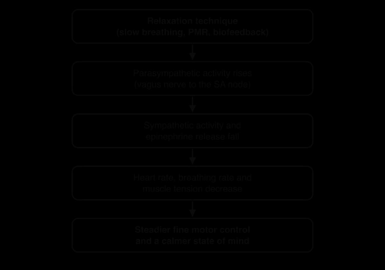 Vertical flow chart: relaxation technique (slow breathing, PMR, biofeedback) raises parasympathetic activity via the vagus nerve to the SA node, sympathetic activity and epinephrine release fall, heart rate, breathing rate and muscle tension fall, giving steadier fine motor control.