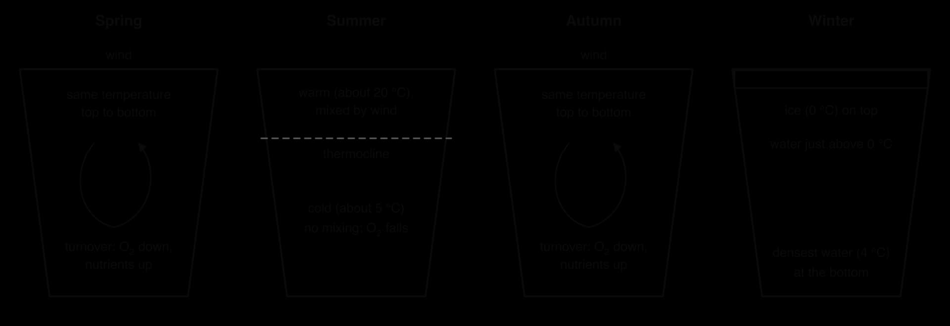Four lake cross-sections. Spring and autumn: same temperature throughout, wind mixes the lake, oxygen moves down and nutrients up. Summer: warm layer over cold layer with a thermocline. Winter: ice on top, 4 °C water at the bottom.