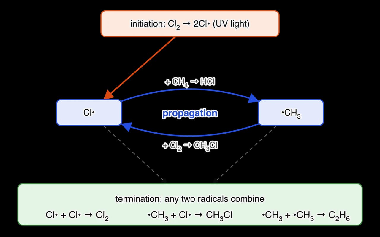 Flow diagram. Initiation, Cl2 to 2Cl• in UV light, feeds chlorine atoms into a cycle: Cl• plus CH4 gives HCl and •CH3; •CH3 plus Cl2 gives CH3Cl and Cl• again. Dashed arrows lead from both radicals to termination, where two radicals combine: Cl• + Cl• → Cl2, •CH3 + Cl• → CH3Cl, •CH3 + •CH3 → C2H6.