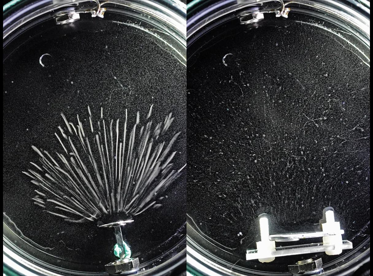 Two photographs of a cloud chamber. Left: thick, straight white tracks fanning out from an americium-241 source, all of nearly the same length. Right: faint, thin, wandering tracks from a strontium-90 beta source.