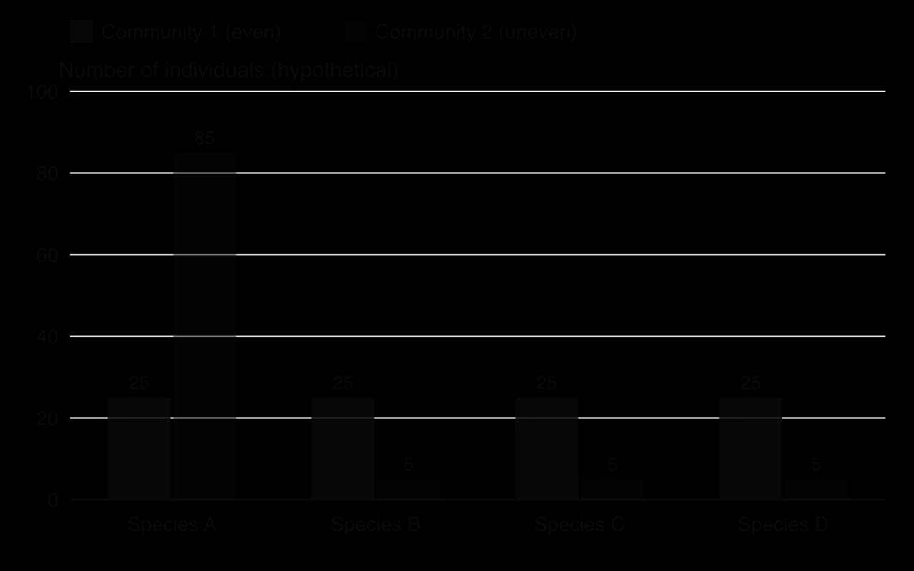 Column chart of two hypothetical communities with four species each. Community 1: 25 individuals of each of species A to D (even). Community 2: 85 of species A and 5 each of B, C and D (uneven). Both have 100 individuals and a richness of four.
