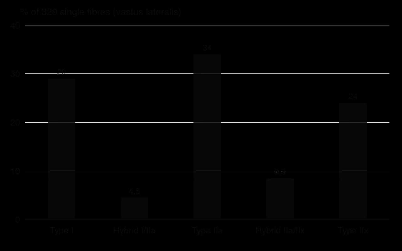 Column chart of 329 single fibres from a world champion sprint hurdler's vastus lateralis: type I 29%, hybrid I/IIa 4.5%, type IIa 34%, hybrid IIa/IIx 8.5%, type IIx 24%.