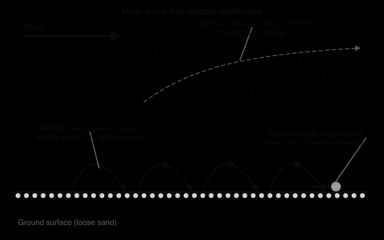 Wind blowing left to right over loose sand: fine dust and silt below 0.06 mm carried high in suspension; sand grains bouncing in low arcs by saltation, mostly within 1 m of the ground; larger grains rolled and pushed along the surface by creep.