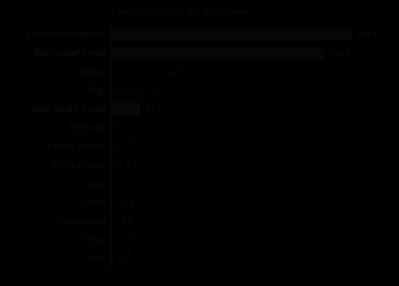Bar chart of land use in square metres per 100 g of protein: lamb and mutton 184.8, beef from beef herds 163.6, cheese 39.8, milk 27.1, beef from dairy herds 21.9, pig meat 10.7, pulses 7.3, poultry 7.1, eggs 5.7, grains 4.6, groundnuts 3.5, peas 3.4, tofu 2.2.