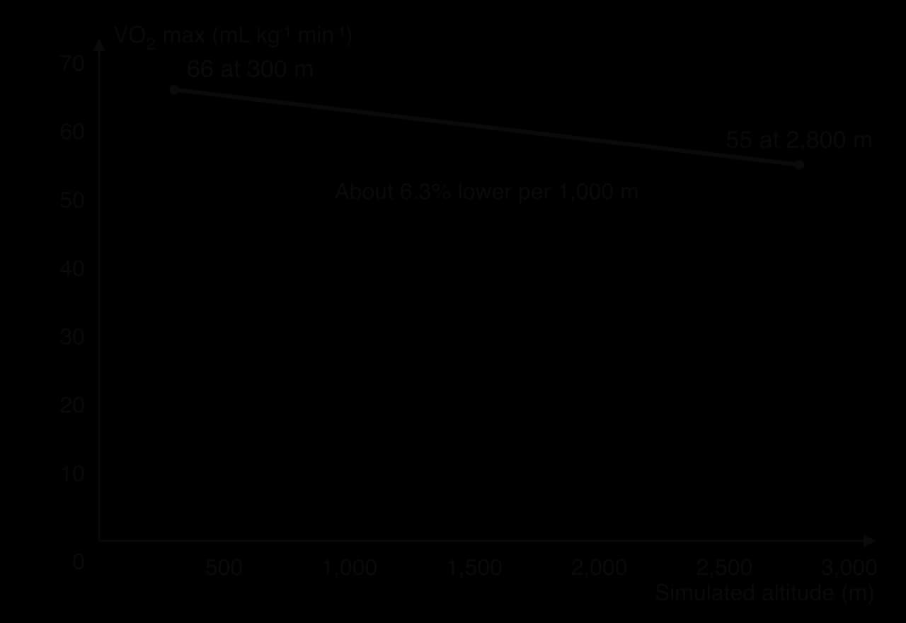 Line graph: VO2 max (mL/kg/min) against simulated altitude (m). A straight line falls from 66 at 300 m to 55 at 2,800 m, about 6.3% lower per 1,000 m.