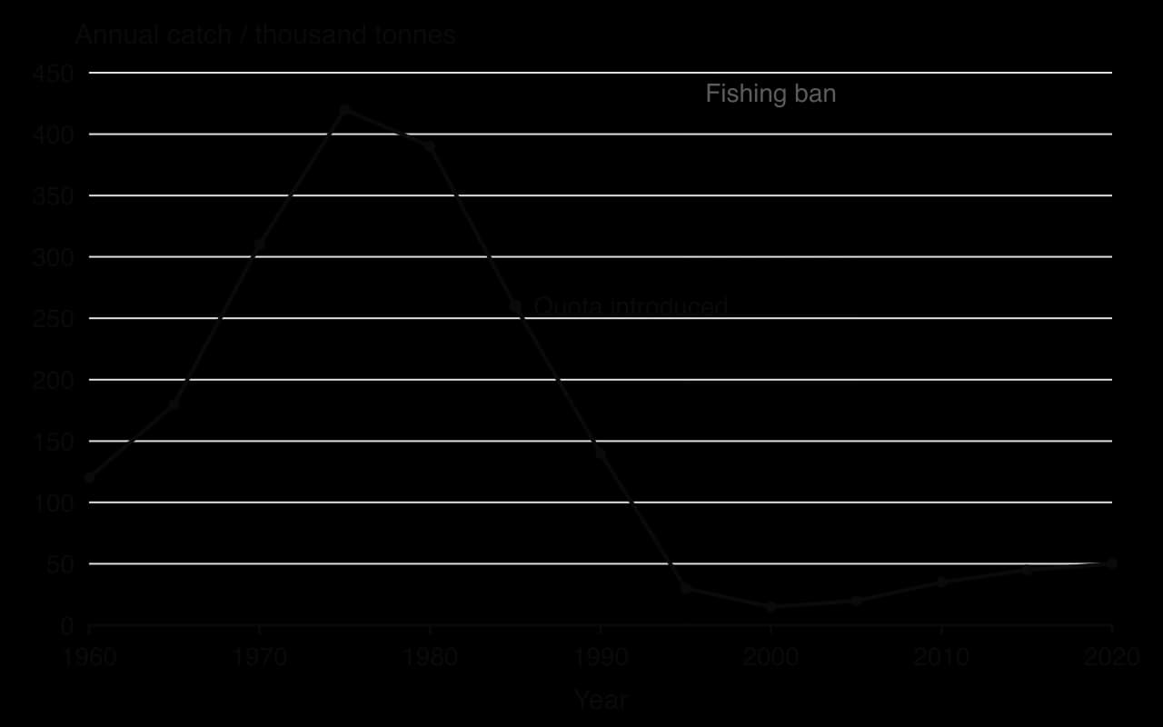 Line graph of hypothetical annual catch of a fish stock, 1960–2020: 120 thousand tonnes in 1960, peak of 420 in 1975, quota introduced 1985 at 260, 30 in 1995, low of 15 in 2000 during a 1995–2005 fishing ban, then slow rise to 50 by 2020.