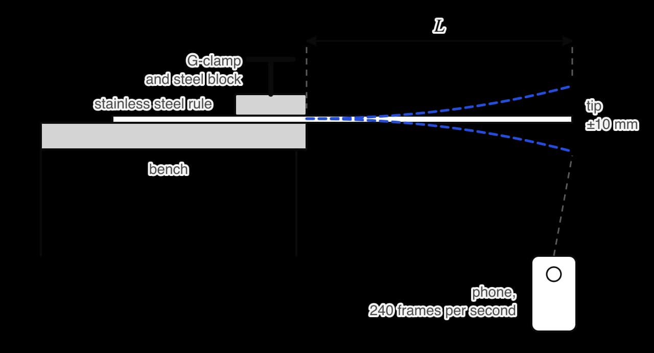 Side view: a stainless steel rule lies on a bench, held at the bench edge by a steel block pressed down by a G-clamp, with length L overhanging. Blue dashed curves show the rule bent up and down as it vibrates. A phone in front of the tip, below the bench top, films it at 240 frames per second.
