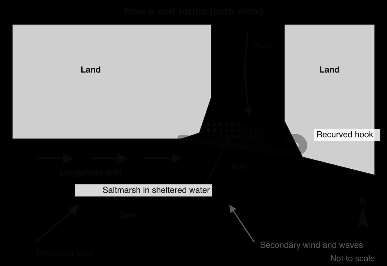 Plan view: longshore drift moves sediment east along a coast; where the coast turns into a river estuary deposition continues, building a spit across the mouth with a recurved hook at its end; saltmarsh forms in sheltered water behind; prevailing and secondary winds shown.