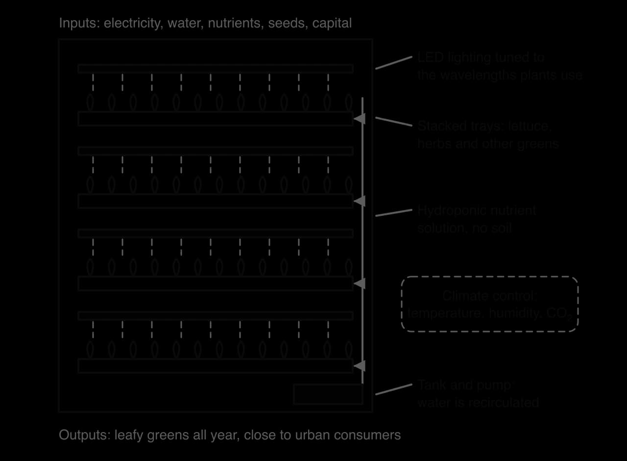 Cross-section of an indoor vertical farm: four stacked trays of leafy greens under LED lights, hydroponic nutrient solution pumped up from a recirculating tank, a climate control unit; inputs electricity, water, nutrients, seeds.