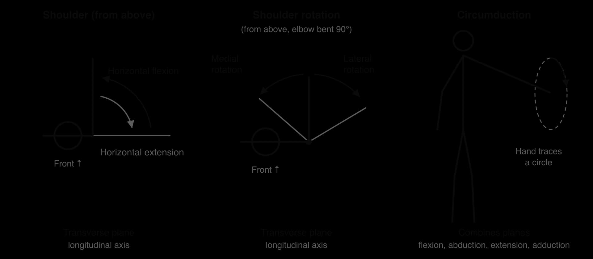 Three panels. From above: arm moving from the side to the front at shoulder height is horizontal flexion, the reverse horizontal extension. From above with elbow bent 90°: forearm swinging towards the body is medial rotation, away is lateral rotation. Circumduction: the hand traces a circle.