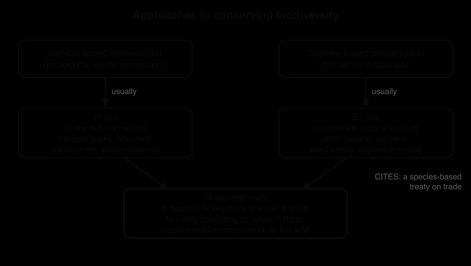 Flow diagram: habitat-based conservation usually leads to in situ measures (national parks, reserves, sanctuaries, ecosanctuaries); species-based conservation to ex situ measures (zoos, botanic gardens, seed banks, captive breeding). Both feed a mixed approach. CITES is species-based.