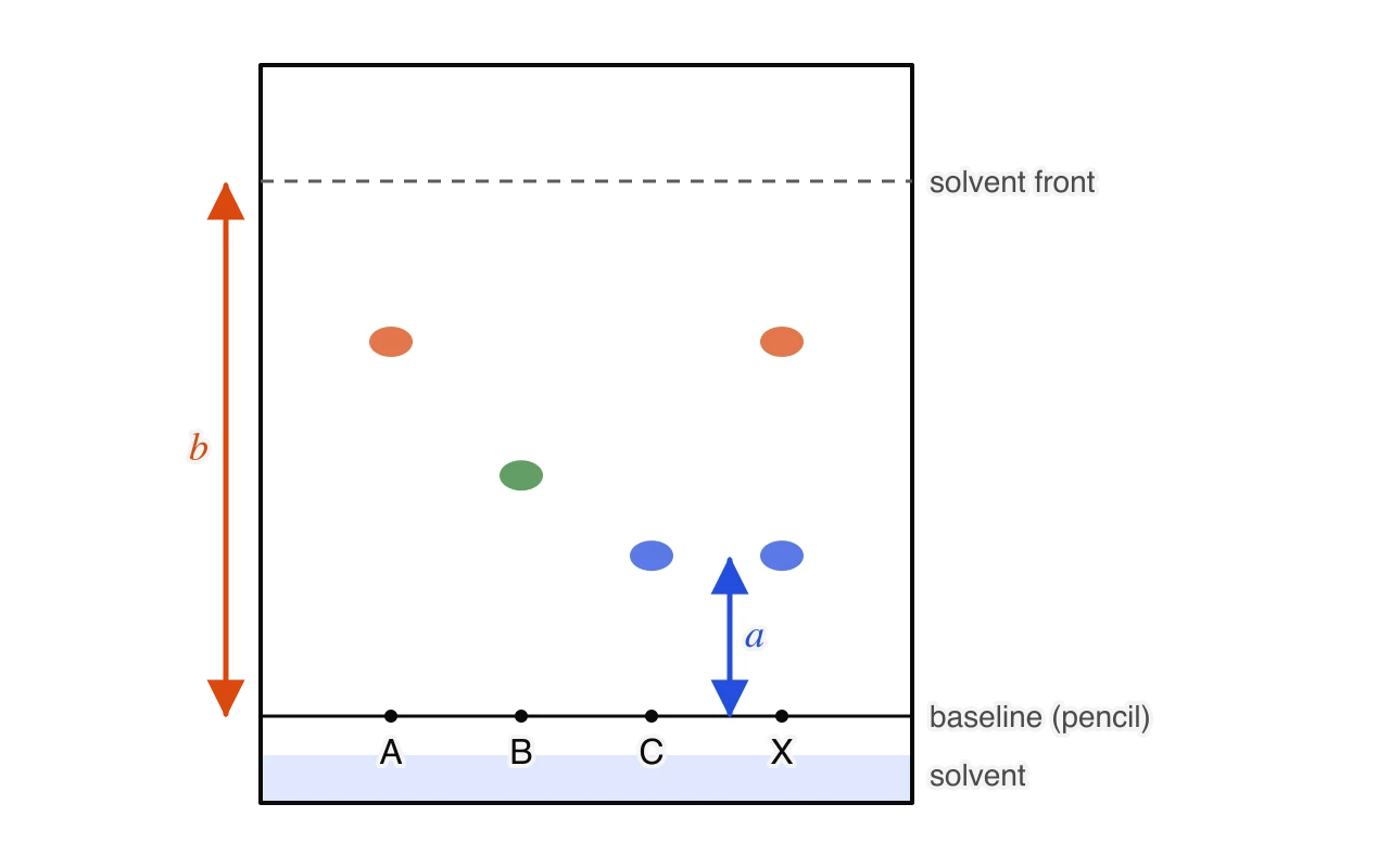 Chromatogram with four lanes, A, B, C and the unknown X. A gives one spot at Rf 0.70, B one at 0.45 and C one at 0.30. X gives two spots, level with A and C. Arrows mark the distance a from baseline to a spot and b from baseline to solvent front.