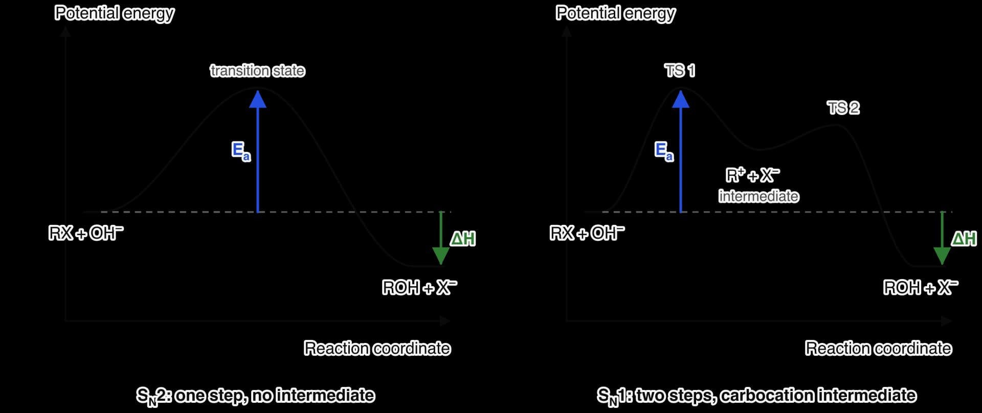 Two energy profiles of potential energy against reaction coordinate for exothermic substitutions. SN2: one hump with a transition state. SN1: two humps; the first (TS 1) is higher, then a trough holding the carbocation intermediate R+ + X−, then a smaller hump (TS 2). Ea and ΔH are marked.