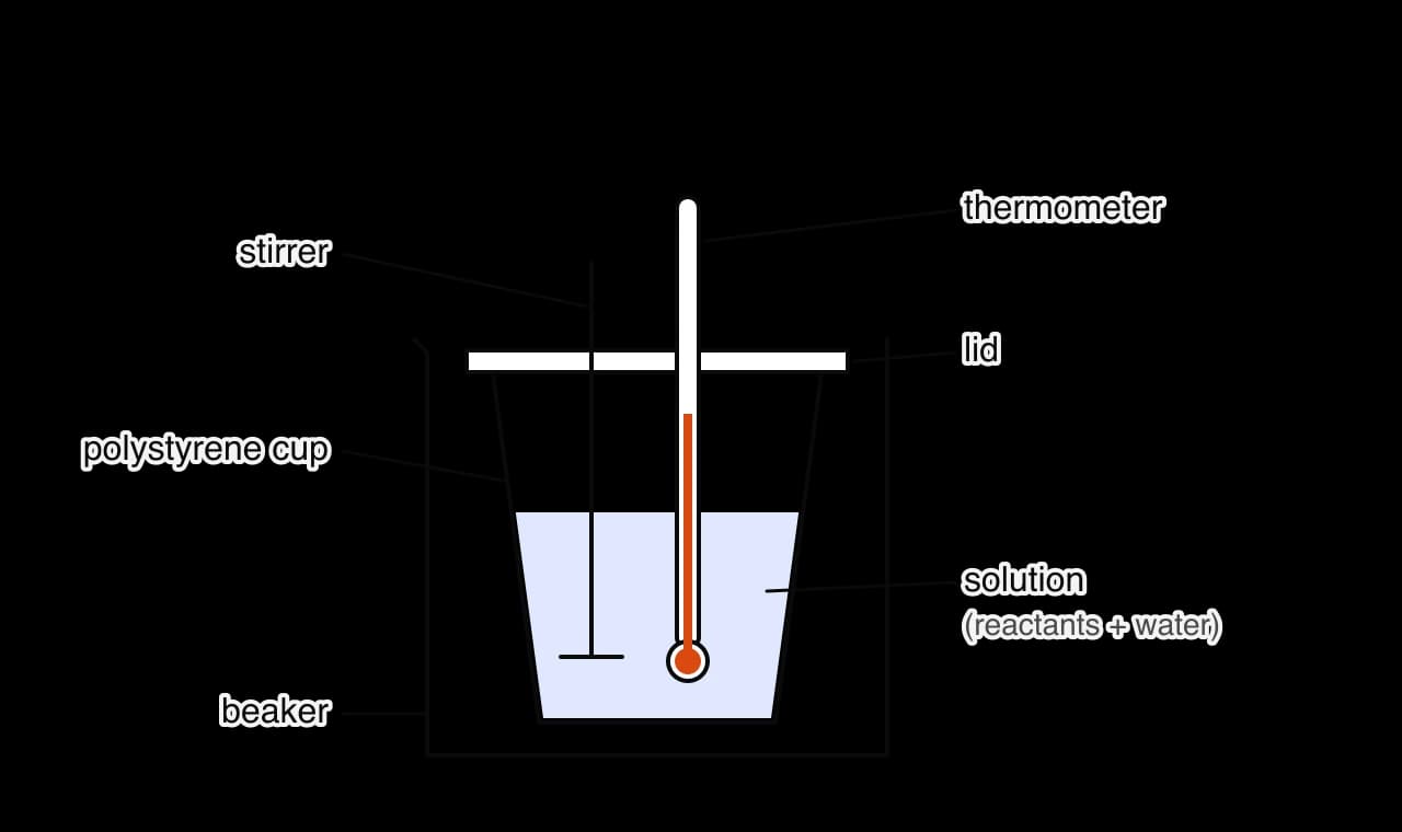 A polystyrene cup containing a solution of the reactants in water, standing in a beaker for support. A lid covers the cup, and a thermometer and a stirrer pass through the lid into the solution.