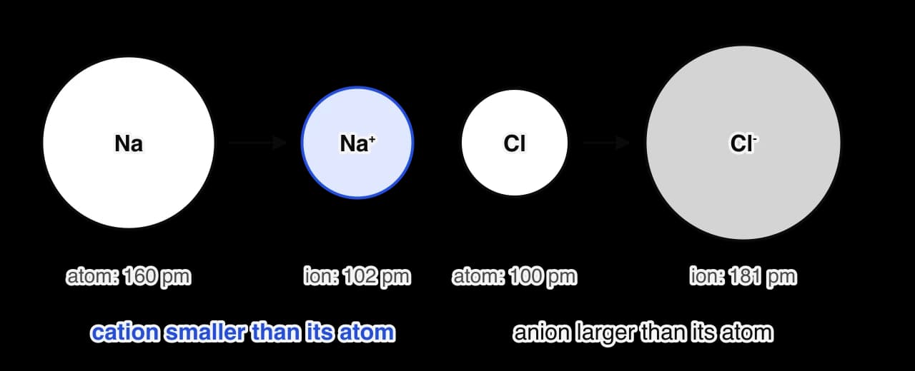 Circles drawn to scale. A sodium atom of radius 160 pm becomes a much smaller Na+ ion of radius 102 pm. A chlorine atom of radius 100 pm becomes a much larger Cl− ion of radius 181 pm.