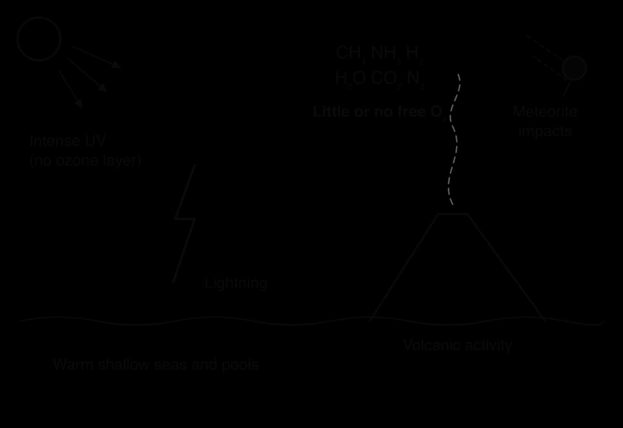 A scene of the early Earth: a sun with arrows labelled intense UV (no ozone layer), lightning, a volcano, meteorite impacts and warm shallow seas. The atmosphere is labelled CH₄, NH₃, H₂, H₂O, CO₂ and N₂, with little or no free O₂.