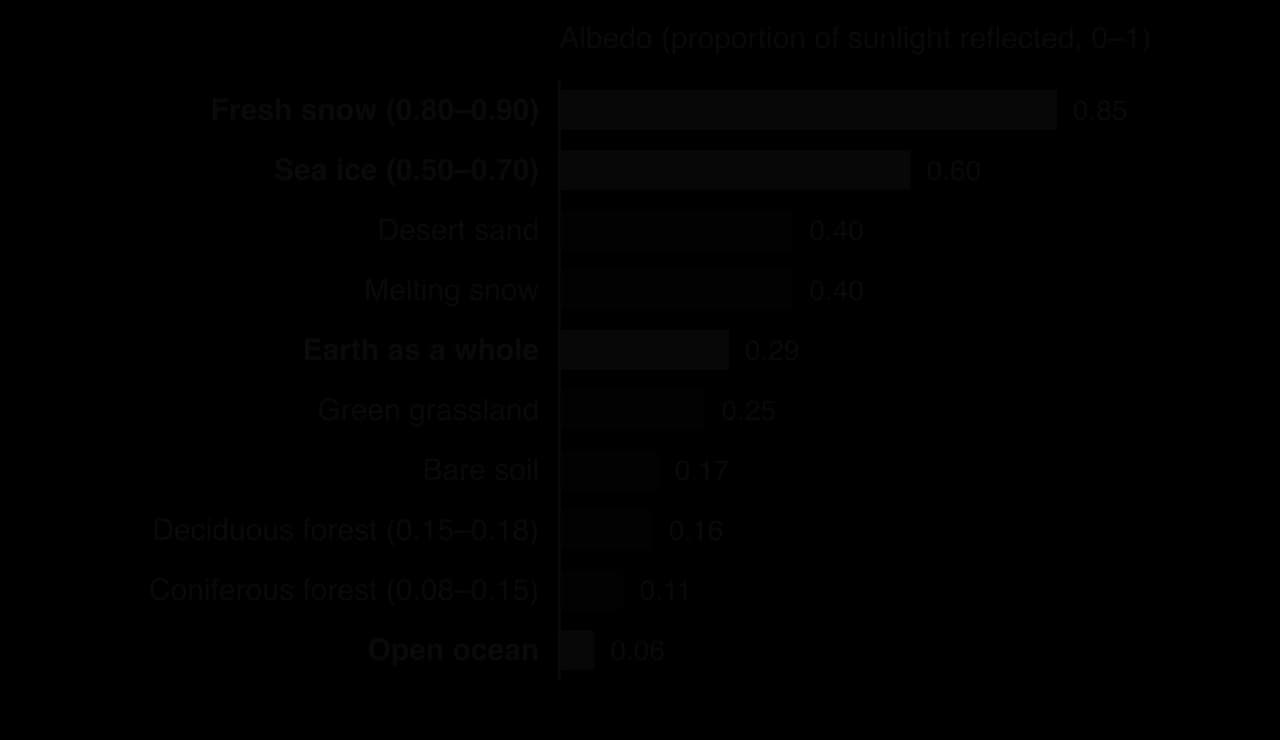 Bar chart of typical albedo: fresh snow 0.85, sea ice 0.60, desert sand 0.40, melting snow 0.40, Earth as a whole 0.29, grassland 0.25, bare soil 0.17, deciduous forest 0.16, coniferous forest 0.11, open ocean 0.06.