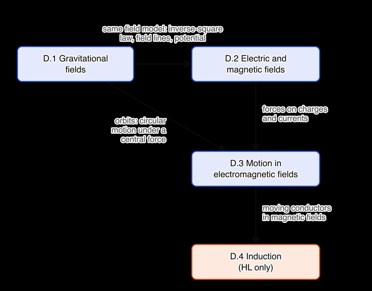 Four boxes for the subtopics of Fields. D.1 Gravitational fields links to D.2 Electric and magnetic fields through the same field model (inverse-square law, field lines, potential), and to D.3 through circular motion under a central force.
