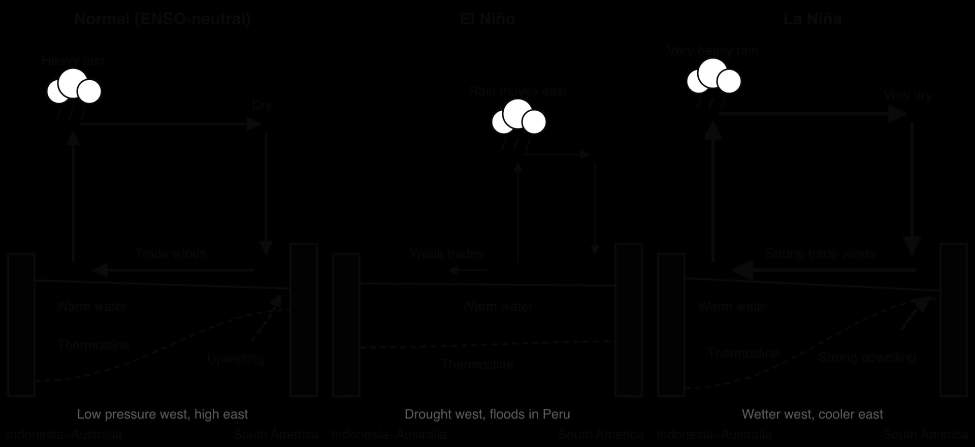 Three Pacific cross-sections. Normal: trade winds, rising air and rain in the west, sinking dry air in the east, warm pool west, thermocline deep west and shallow east, upwelling off Peru. El Niño: weak trades, rain moves east, flat thermocline, no upwelling. La Niña: stronger version of normal.